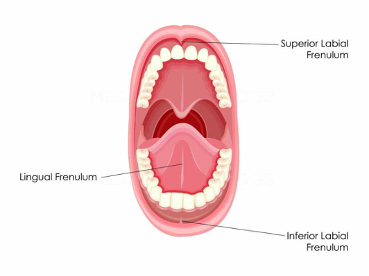 jOXgU2XHtVNQA3S6aa17spaZfnQXoLbwKqLRGV5b