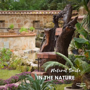 Outdoor resting area with plants and nature elements.