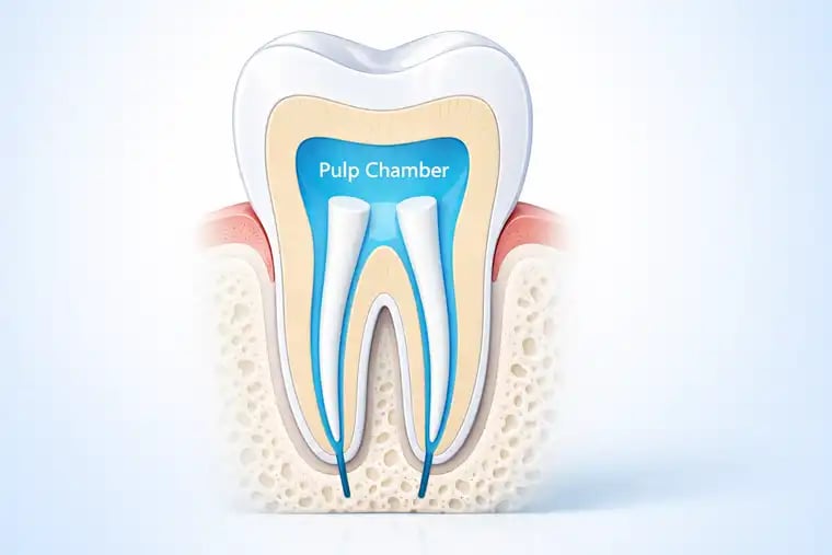 Ablauf einer Wurzelbehandlung - Smile Center Turkey®